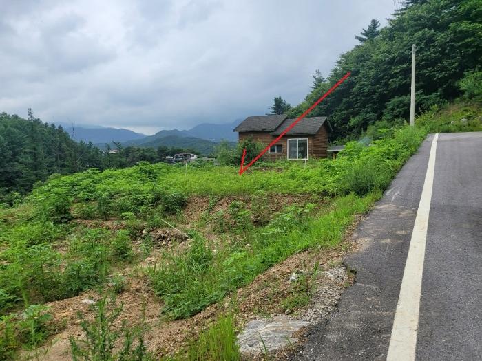경기도 남양주시 수동면 지둔리 32-3 임야 경매 사진 2