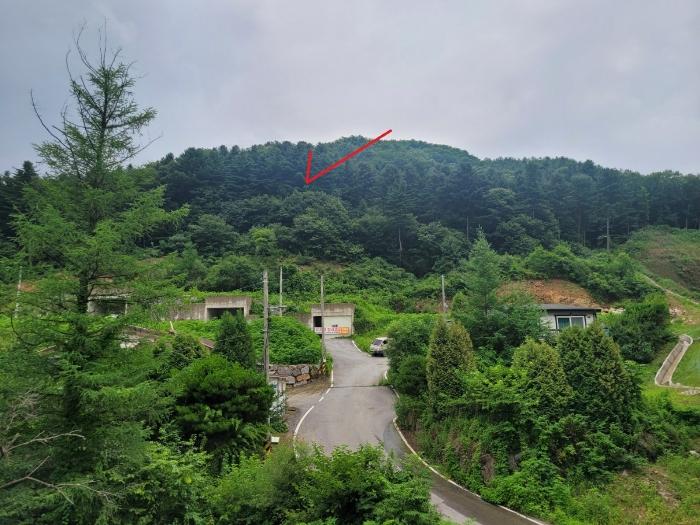 경기도 남양주시 수동면 지둔리 32-11 임야 경매 사진 7