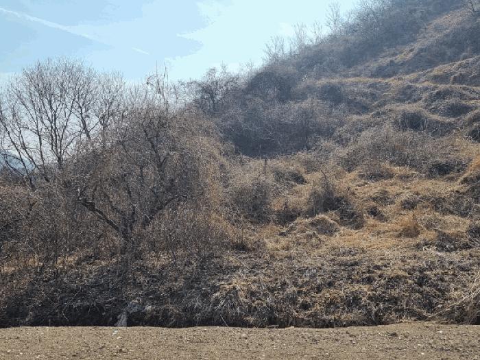 경상남도 함안군 과수원