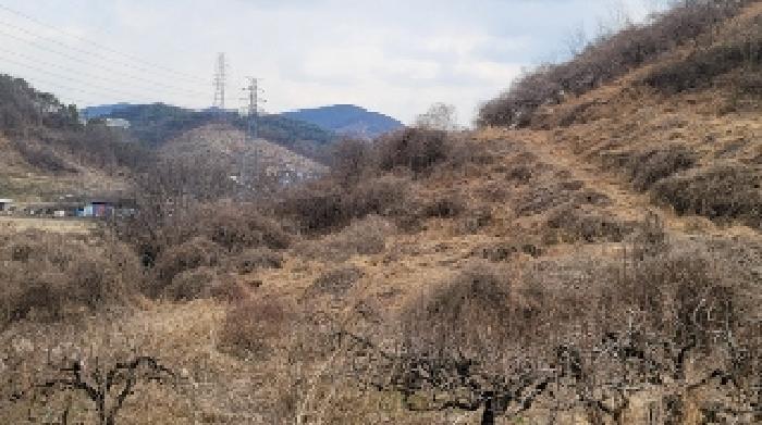 경상남도 함안군 칠북면 덕남리 1248 과수원 경매 사진 8