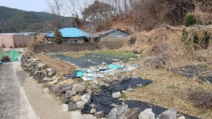 경상남도 창원시 마산합포구 진전면 고사리 731-4 대지 경매 사진 2