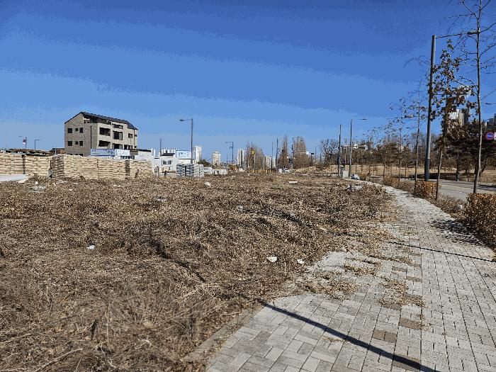 경기도 평택시 고덕동 2437-2 대지 경매 사진 1