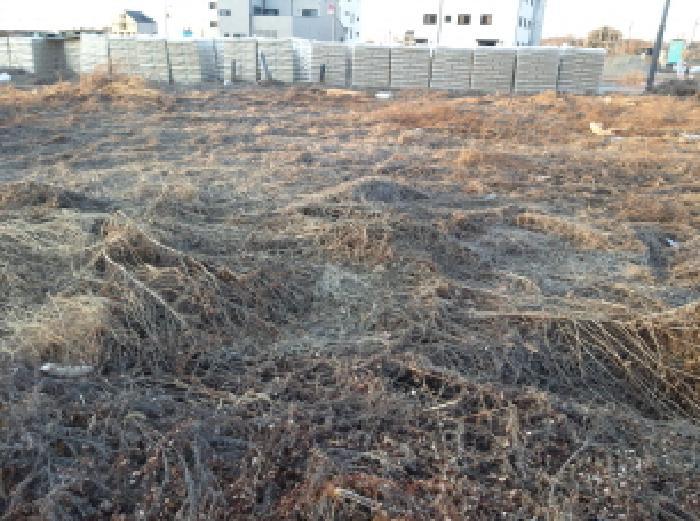 경기도 평택시 고덕동 2437-2 대지 경매 사진 5