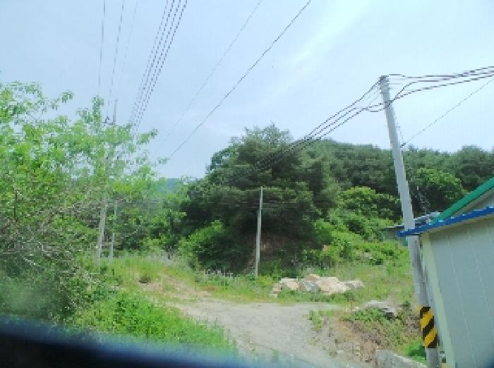 강원특별자치도 화천군 사내면 사창리 산3 임야 경매 사진 11