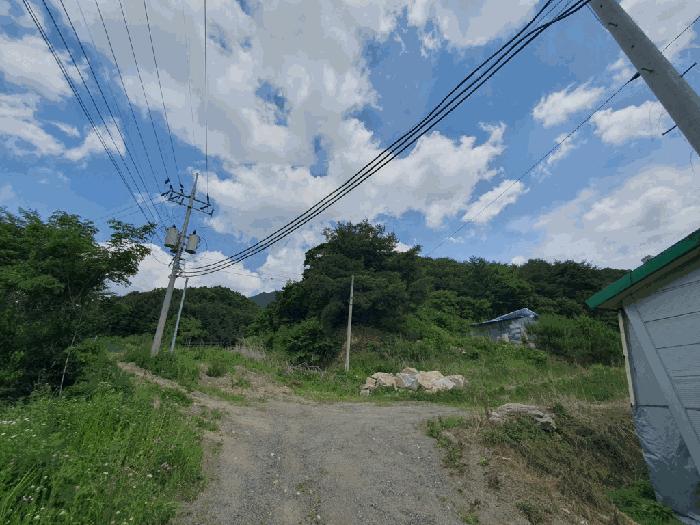 강원특별자치도 화천군 사내면 사창리 산3 임야 경매 사진 2