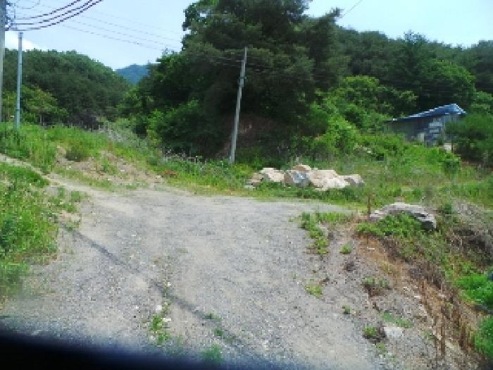 강원특별자치도 화천군 사내면 사창리 산3 임야 경매 사진 6