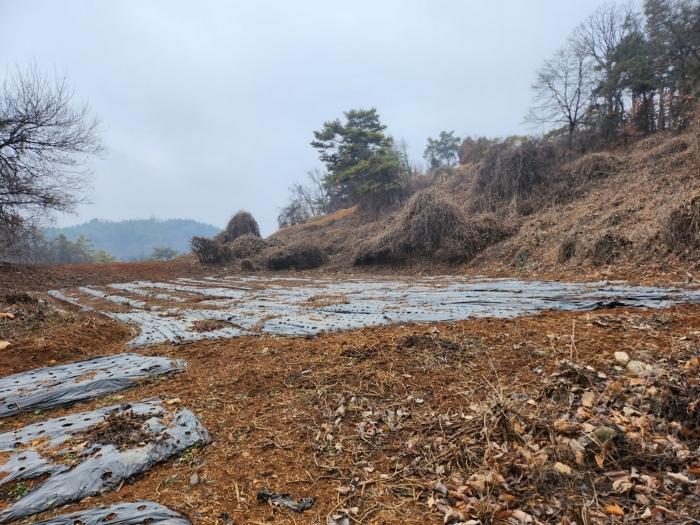 충청북도 단양군 매포읍 우덕리 103 전 경매 사진 10