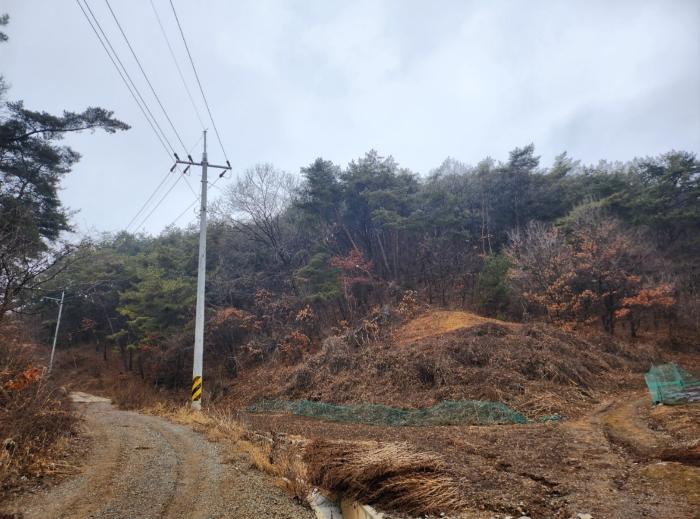 충청북도 단양군 매포읍 우덕리 103 전 경매 사진 11