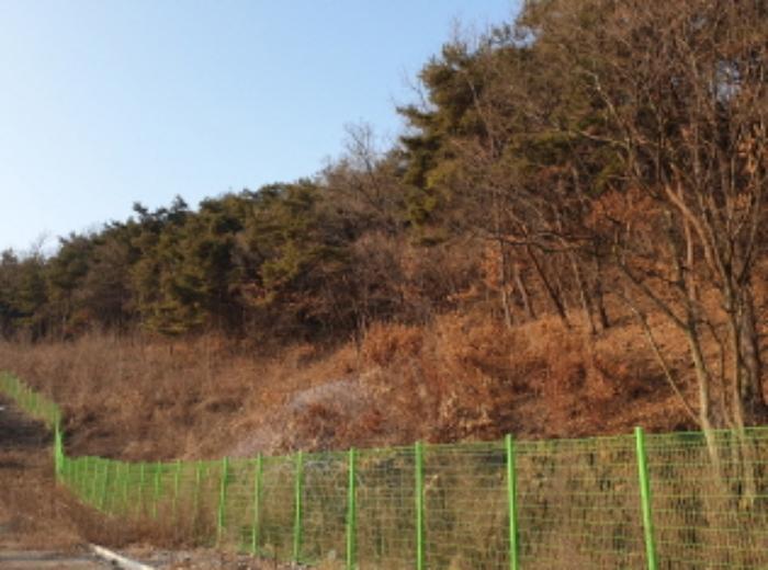 충청북도 단양군 매포읍 우덕리 103 전 경매 사진 21