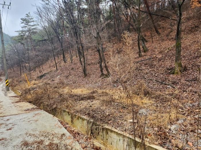 충청북도 단양군 매포읍 우덕리 103 전 경매 사진 3