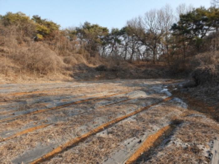 충청북도 단양군 매포읍 우덕리 103 전 경매 사진 30