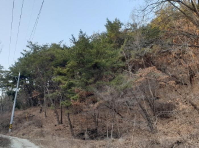 충청북도 단양군 매포읍 우덕리 103 전 경매 사진 34