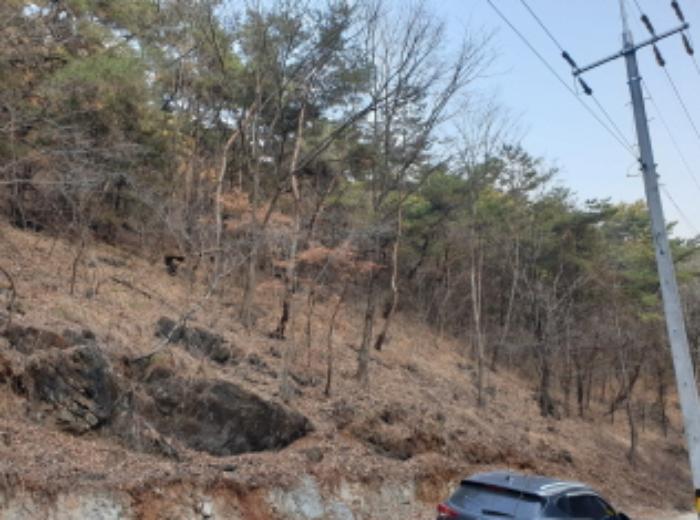 충청북도 단양군 매포읍 우덕리 103 전 경매 사진 36
