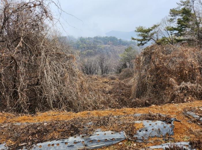 충청북도 단양군 매포읍 우덕리 103 전 경매 사진 4