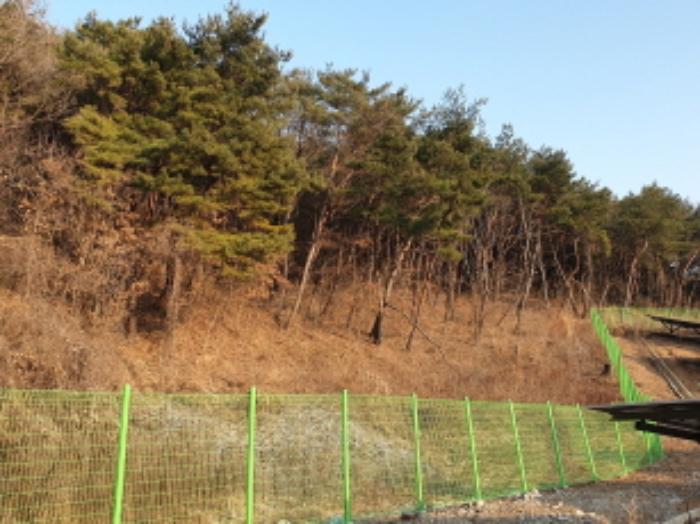충청북도 단양군 매포읍 우덕리 104 전 경매 사진 20