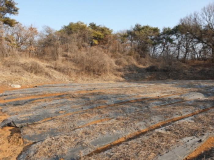 충청북도 단양군 매포읍 우덕리 104 전 경매 사진 29