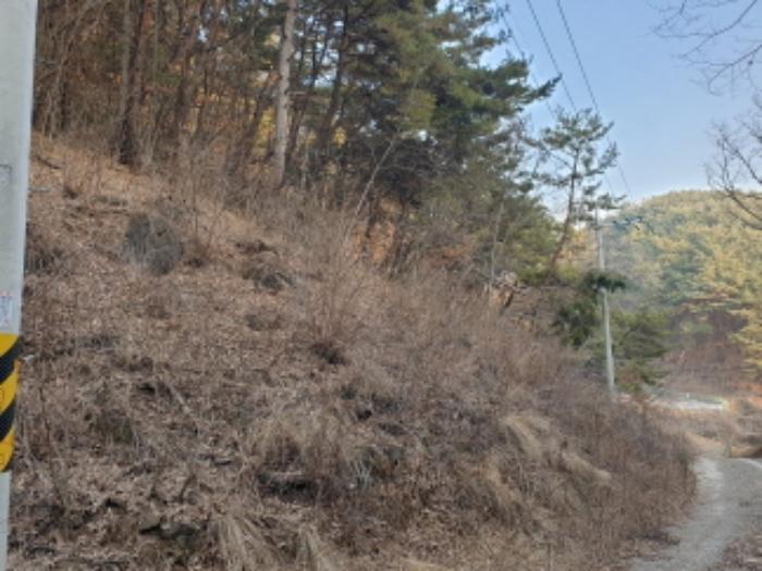 충청북도 단양군 매포읍 우덕리 104 전 경매 사진 35