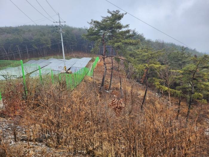 충청북도 단양군 매포읍 우덕리 104 전 경매 사진 5