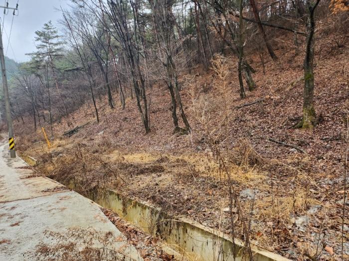 충청북도 단양군 매포읍 우덕리 104 전 경매 사진 6