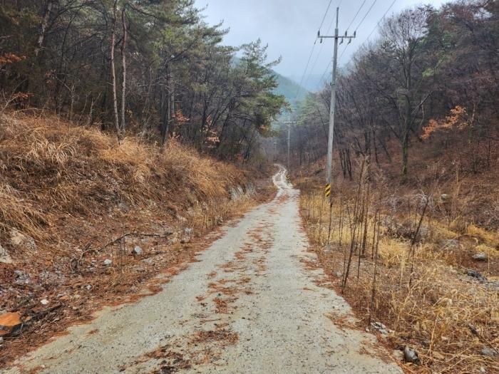 충청북도 단양군 매포읍 우덕리 104 전 경매 사진 7