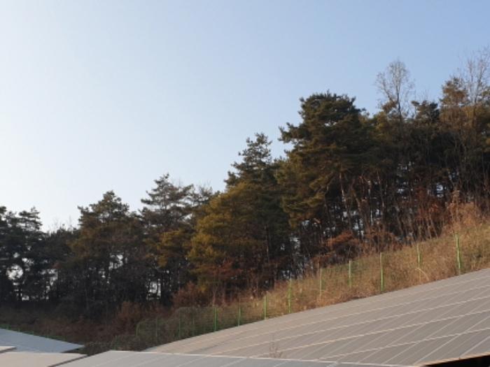 충청북도 단양군 매포읍 우덕리 105 전 경매 사진 22