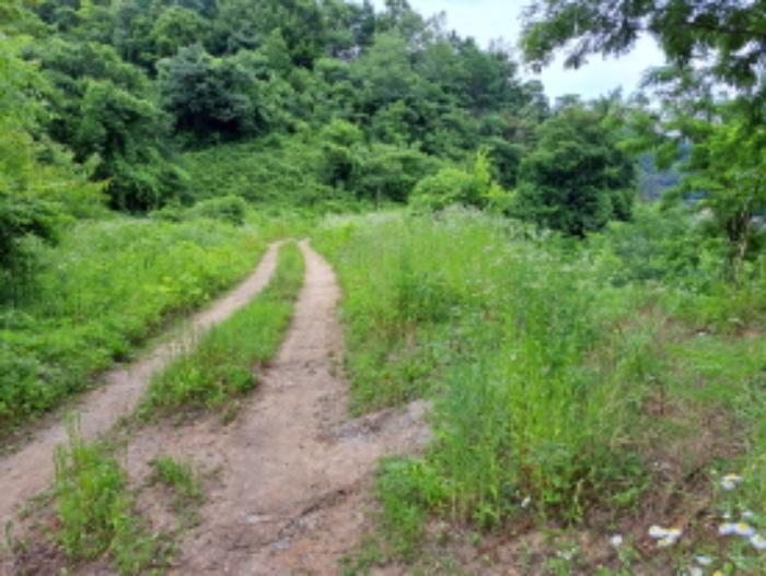 충청북도 제천시 덕산면 도전리 1015 전 경매 사진 34