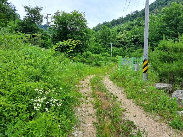충청북도 제천시 덕산면 도전리 1031-1 전 경매 사진 13