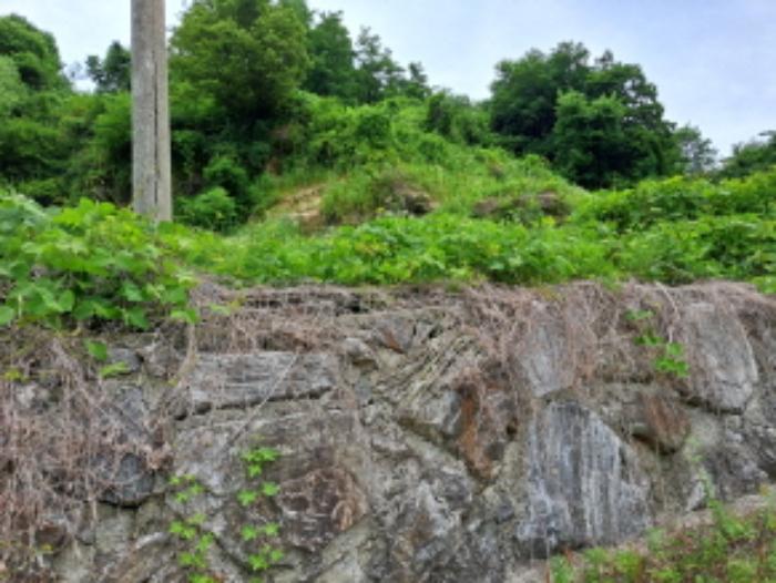 충청북도 제천시 덕산면 도전리 1031-1 전 경매 사진 26