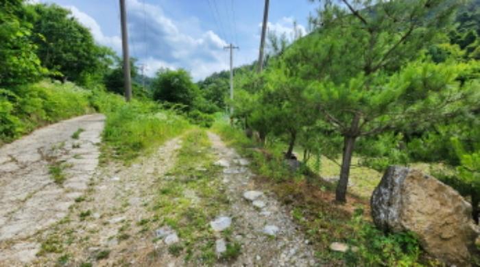 충청북도 제천시 덕산면 도전리 1031-1 전 경매 사진 27