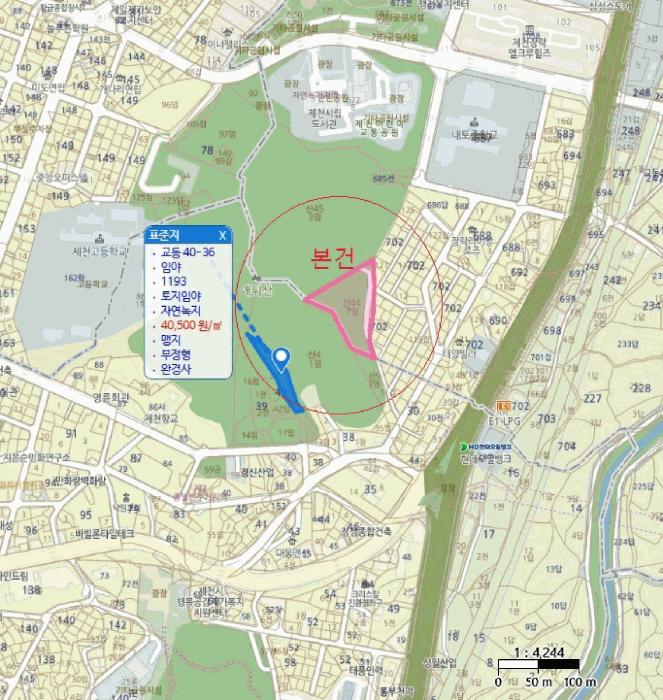 충청북도 제천시 장락동 산44-7 임야 경매 사진 25