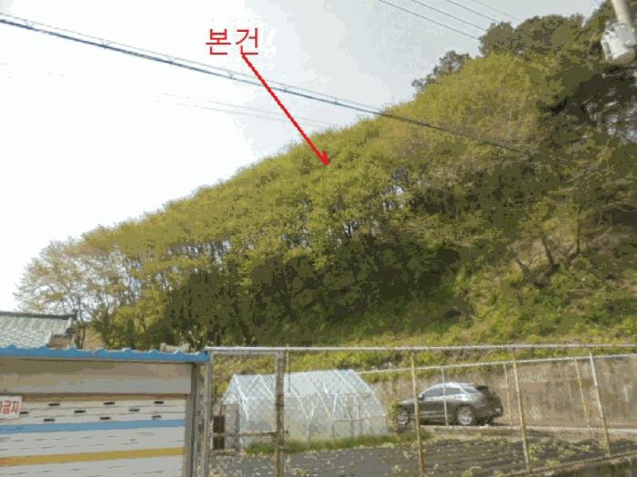 충청북도 제천시 장락동 산44-7 임야 경매 사진 3