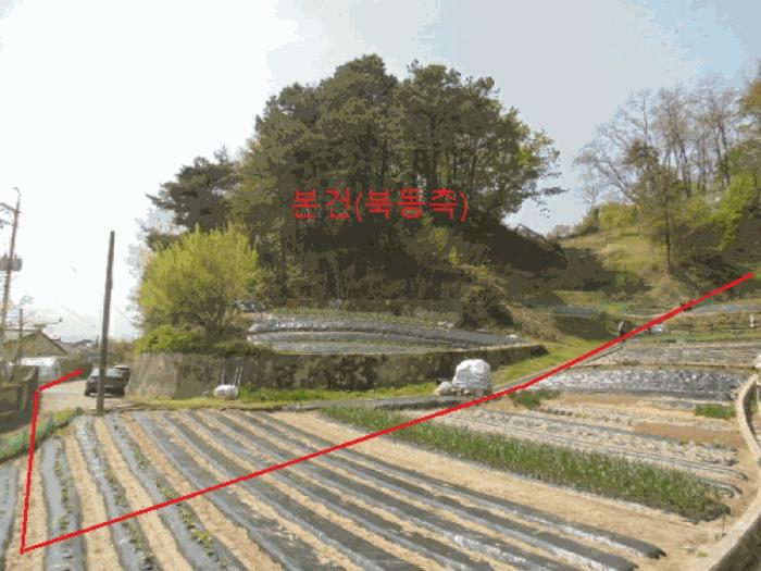 충청북도 제천시 장락동 산44-7 임야 경매 사진 5