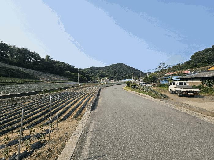 충청북도 제천시 수산면 내리 243-2 답 경매 사진 1