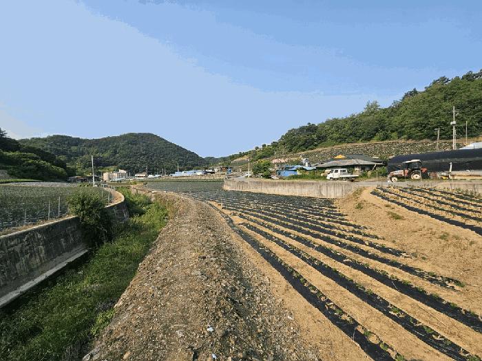 충청북도 제천시 수산면 내리 243-2 답 경매 사진 5