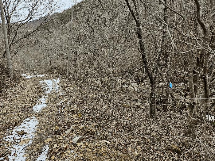 충청남도 금산군 진산면 삼가리 산107-14 임야 경매 사진 16