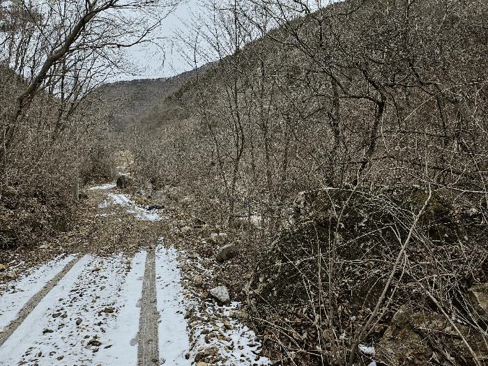 충청남도 금산군 진산면 삼가리 산107-14 임야 경매 사진 4