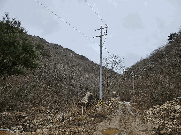 충청남도 금산군 진산면 삼가리 산107-14 임야 경매 사진 6