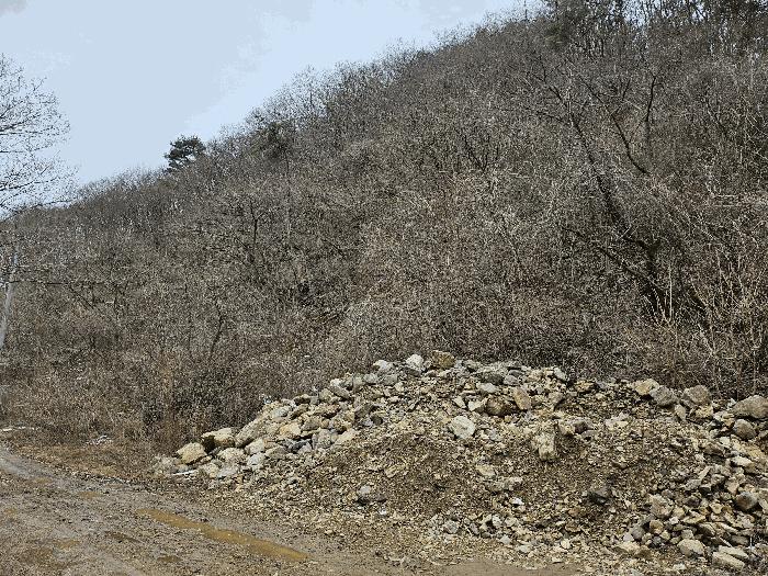 충청남도 금산군 진산면 삼가리 산107-14 임야 경매 사진 9