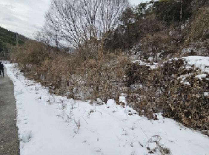 충청북도 단양군 가곡면 여천리 106 답 경매 사진 11