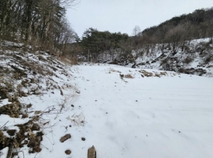 충청북도 단양군 가곡면 여천리 106 답 경매 사진 16