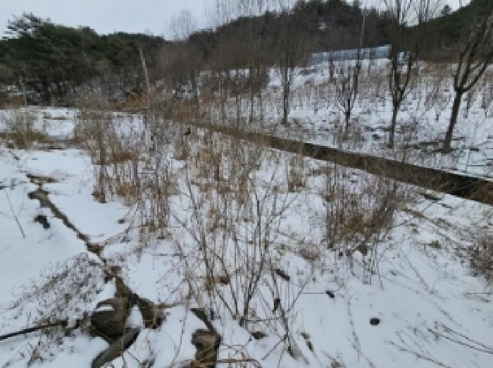 충청북도 단양군 가곡면 여천리 106 답 경매 사진 19