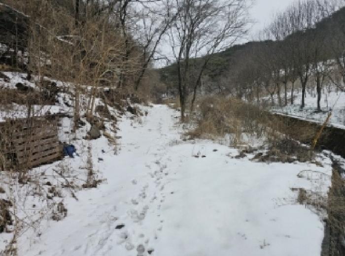 충청북도 단양군 가곡면 여천리 106 답 경매 사진 3