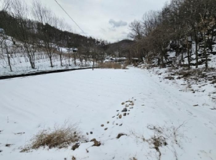 충청북도 단양군 가곡면 여천리 106 답 경매 사진 4