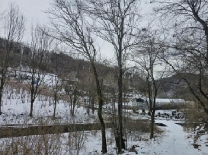 충청북도 단양군 가곡면 여천리 106 답 경매 사진 7