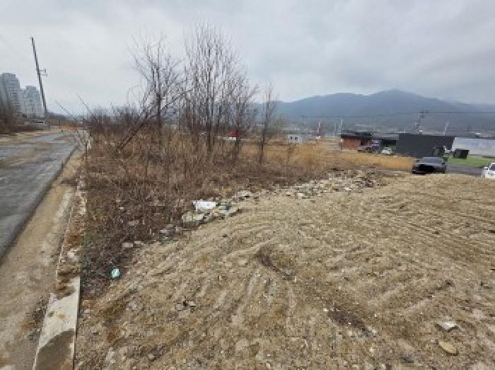 충청북도 제천시 왕암동 88-2 임야 경매 사진 13