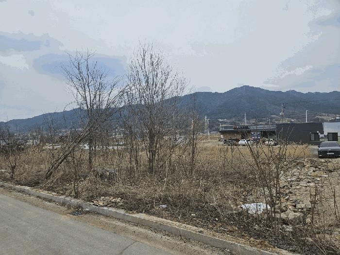충청북도 제천시 왕암동 89-52 전 경매 사진 5