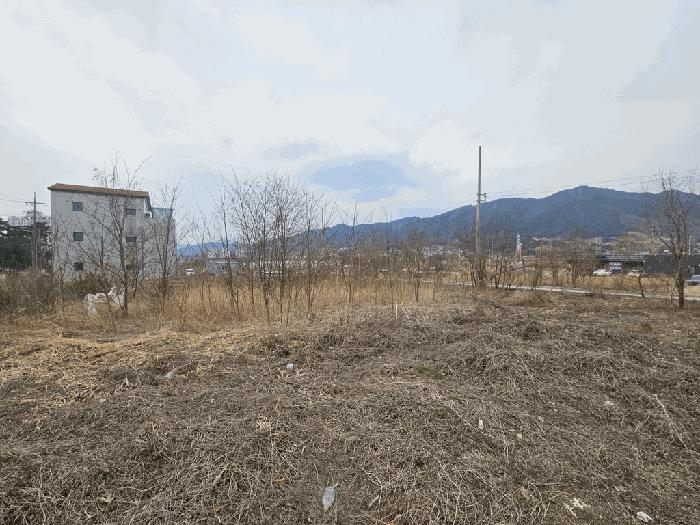 충청북도 제천시 왕암동 89-52 전 경매 사진 7