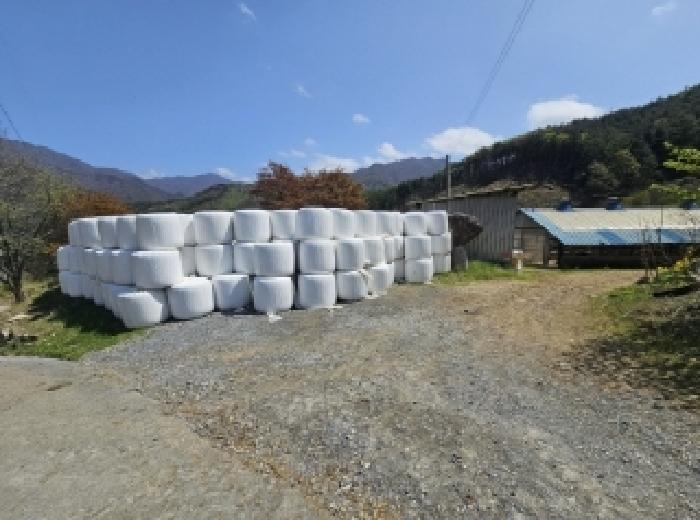 충청북도 단양군 대강면 무수천리 92-1 주택 경매 사진 18