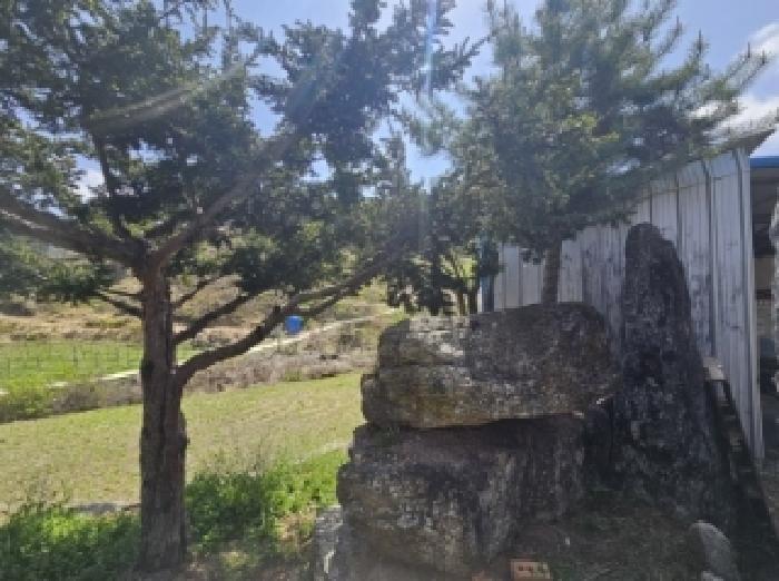 충청북도 단양군 대강면 무수천리 92-1 주택 경매 사진 20