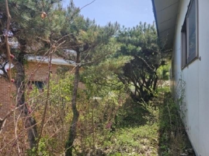 충청북도 단양군 대강면 무수천리 92-1 주택 경매 사진 28